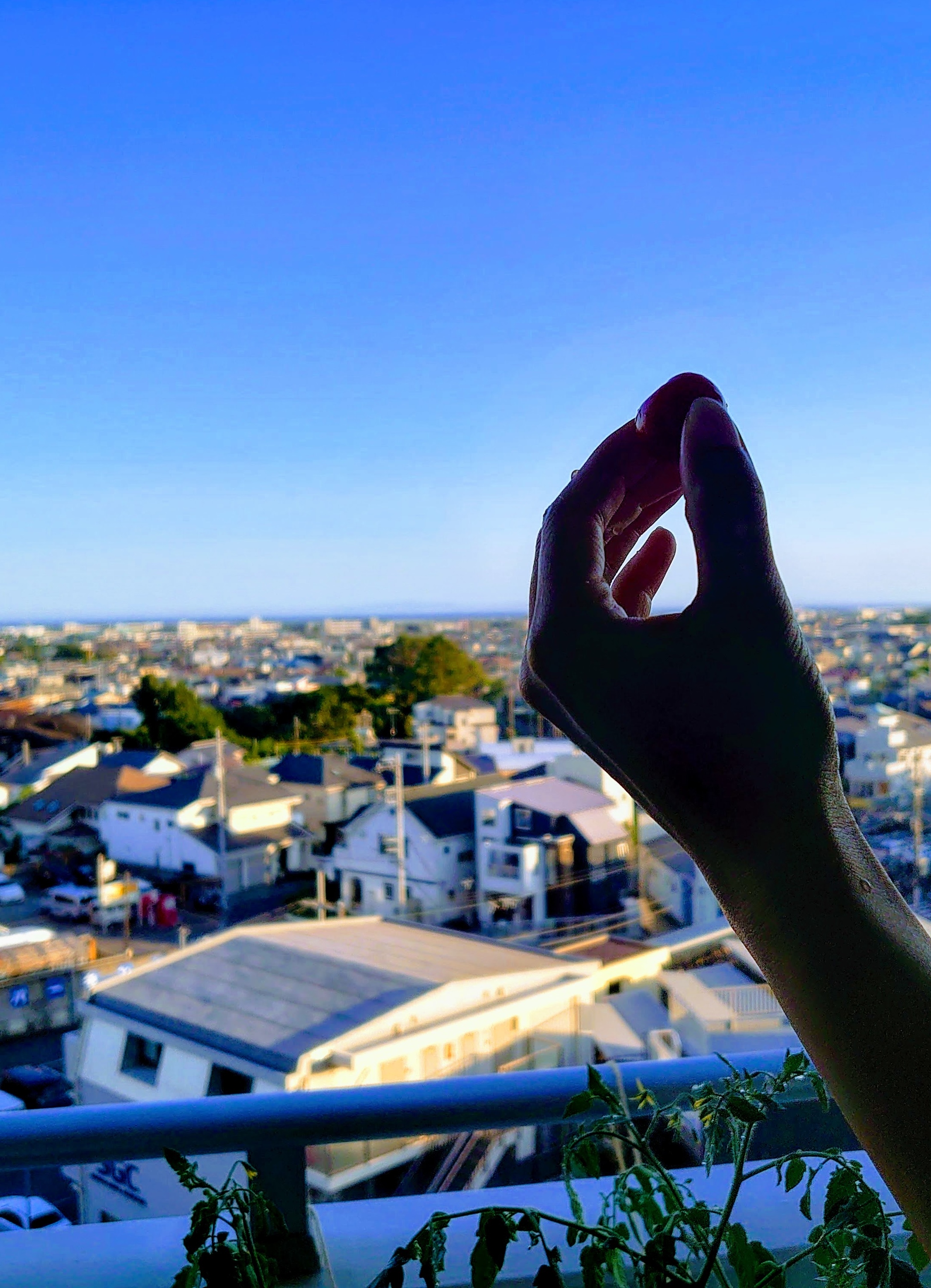 プロフィール写真